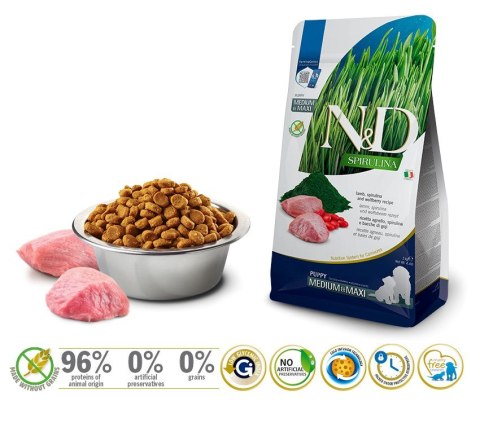 FARMINA N&D Spirulina Lamb Puppy Medium&Maxi - sucha karma dla psa - 2 kg FARMINA N&D Spirulina Lamb Puppy Medium&Maxi - sucha karma dla psa - 2 kg