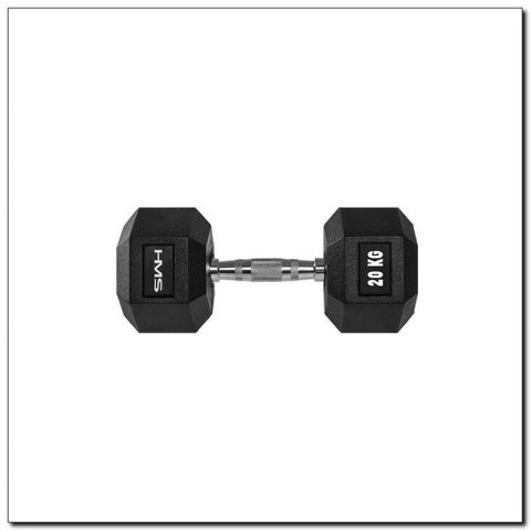 Hantla 20 kg HMS HEX-PRO 20 Hantla 20 kg HMS HEX-PRO 20