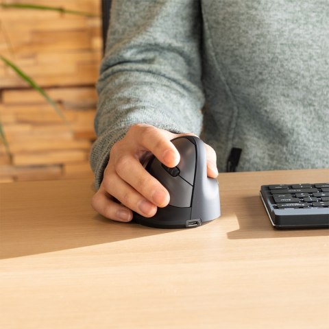 R-Go Pele HE ergonomiczna praworęczna Bluetooth czarna/srebrna retail