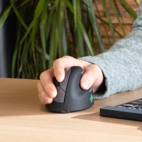 R-Go Pele HE ergonomiczna praworęczna Bluetooth czarna/srebrna retail