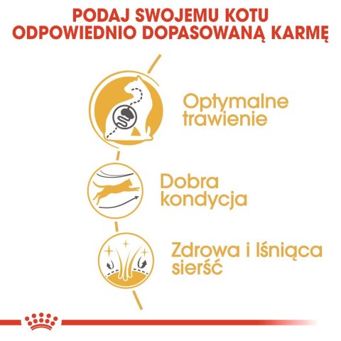 ROYAL CANIN Bengal Adult - sucha karma dla dorosłego kota - 10 kg