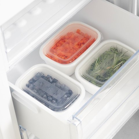 Rotho Freeze zestaw pojemników do mrożenia 3 x 1l
