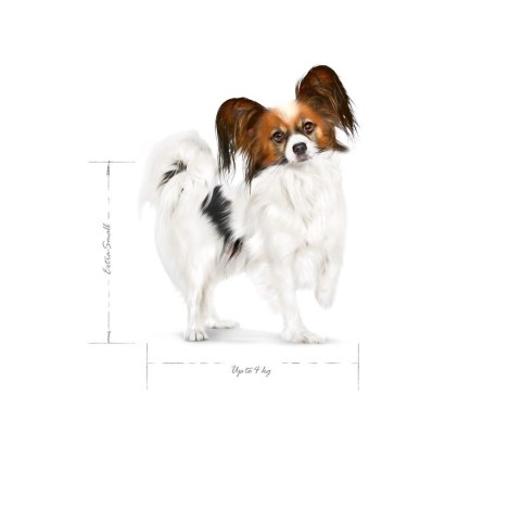 Royal Canin SHN Xsmall Adult 3kg Royal Canin SHN Xsmall Adult 3kg