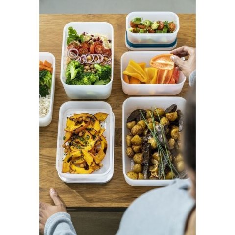 Plastikowy Lunch Box Zwilling Fresh & Save 36801-315-0 1 L
