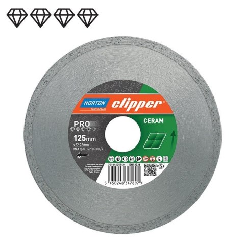 Tarcza diamentowa pro ceramic h9 250x25.4 Tarcza diamentowa pro ceramic h9 250x25.4