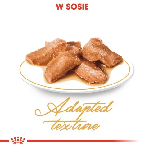 ROYAL CANIN FBN Maine Coon - mokra karma dla dorosłego kota - 12x85g