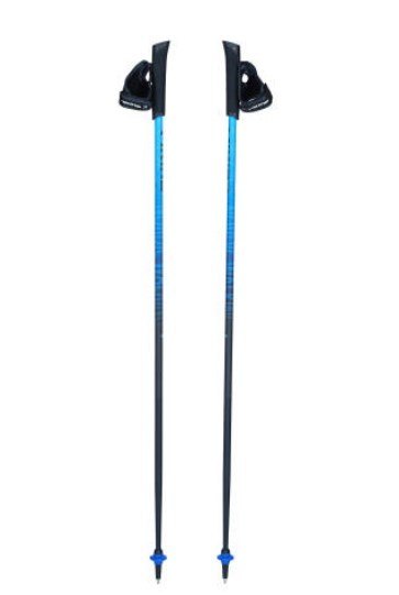 Kije Viking PRO-TRAINER blue 110 Kije Viking PRO-TRAINER blue 110