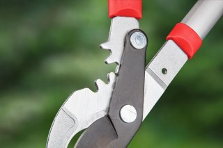 Verto 15G256 Sekator ogrodowy do gałęzi
