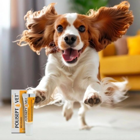 JM SANTE POLISEPT VET RECOVERY preparat energetyczny 12ml JM SANTE POLISEPT VET RECOVERY preparat energetyczny 12ml