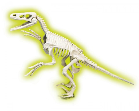 Skamieniałości Welociraptor Skamieniałości Welociraptor