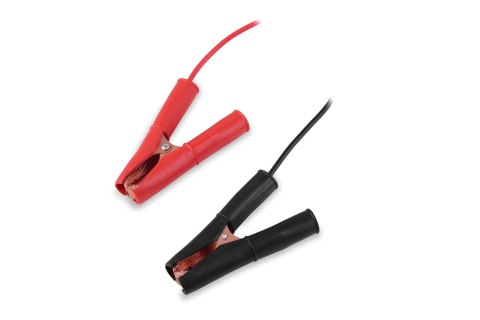 Prostownik Smart Volt Polska 6V/12V/24V 15A A80