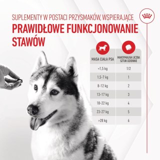 ROYAL CANIN Joint&Ageing Adult Dog Supplements 240g
