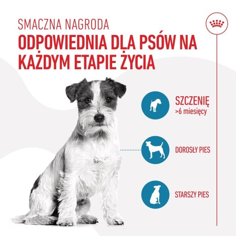 ROYAL CANIN Training Treat Dog 110g