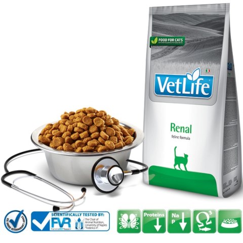 FARMINA Vet Life Renal Feline - sucha karma dla kota - 400g FARMINA Vet Life Renal Feline - sucha karma dla kota - 400g