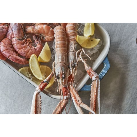 Zwilling STAUB 40508-172-0 Zestaw 3 prostokątnych półmisków ceramicznych - antyczny turkusowy Zwilling STAUB 40508-172-0 Zestaw 3 prostokątnych półmisków ceramicznych - antyczny turkusowy
