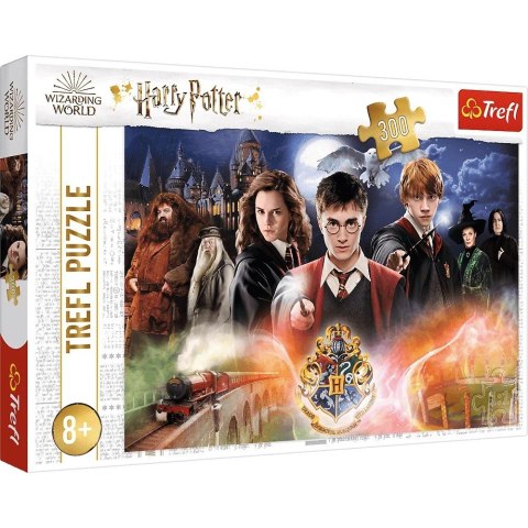 Puzzle 300 elementów Tajemniczy Harry Potter Puzzle 300 elementów Tajemniczy Harry Potter