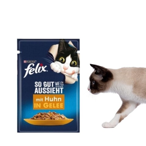 PURINA Felix MIX Smaków - mokra karma dla kota - 120x85 g PURINA Felix MIX Smaków - mokra karma dla kota - 120x85 g