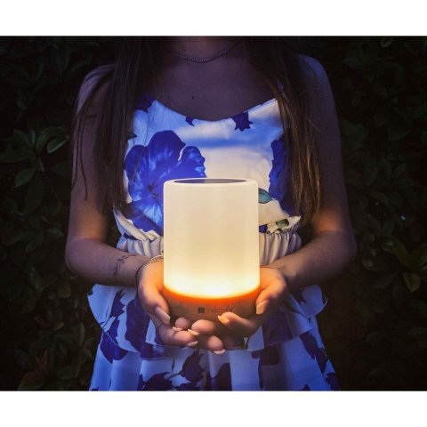 Techly I-LED TOUCH lampa stołowa 1,6 W Biały