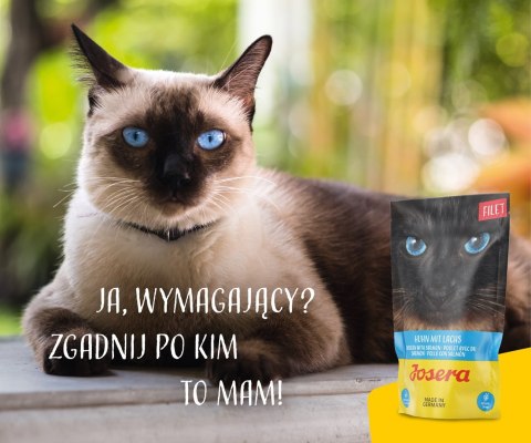 JOSERA Filet kurczak z łososiem - mokra karma dla kota - 70 g JOSERA Filet kurczak z łososiem - mokra karma dla kota - 70 g