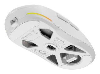 GENESIS NMG-2194 myszka Gaming Oburęczny Bluetooth + USB Type-C Optyczny 26000 DPI
