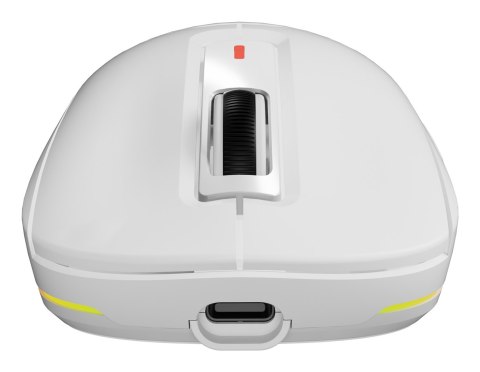 GENESIS NMG-2194 myszka Gaming Oburęczny Bluetooth + USB Type-C Optyczny 26000 DPI