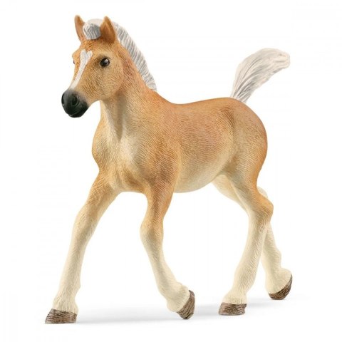 Figurka źrebak rasy Haflinger Figurka źrebak rasy Haflinger