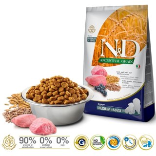 FARMINA N&D Ancestral Grain Lamb & Blueberry Puppy Medium & Maxi - sucha karma dla szczeniąt - 12kg