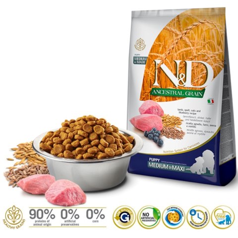 FARMINA N&D Ancestral Grain Lamb & Blueberry Puppy Medium & Maxi - sucha karma dla szczeniąt - 12kg FARMINA N&D Ancestral Grain Lamb & Blueberry Puppy Medium & Maxi - sucha karma dla szczeniąt - 12kg