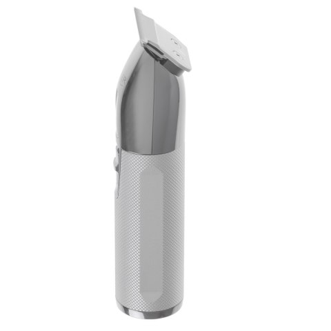 Adler AD 2836S trymer do brody Bateria 4 6 mm Srebrny