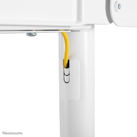 Neomounts by Newstar NM-M1250 177,8 cm (70") Biały