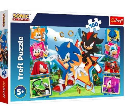 Puzzle 100 elementów Poznaj Sonica Sonic Puzzle 100 elementów Poznaj Sonica Sonic