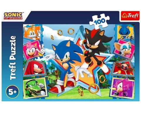 Puzzle 100 elementów Poznaj Sonica Sonic Puzzle 100 elementów Poznaj Sonica Sonic