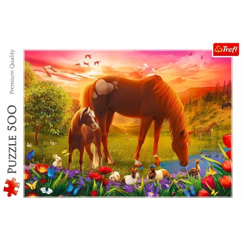 Puzzle 500 elementów Konie na łące Puzzle 500 elementów Konie na łące