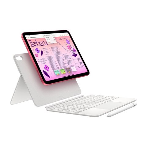 Apple iPad 256 GB 27,7 cm (10.9") Wi-Fi 6 (802.11ax) iPadOS 18 Srebrny Apple iPad 256 GB 27,7 cm (10.9") Wi-Fi 6 (802.11ax) iPadOS 18 Srebrny