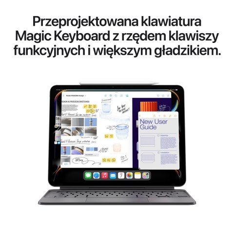 Apple iPad Pro Apple M 256 GB 33 cm (13") 8 GB Wi-Fi 6E (802.11ax) iPadOS 17 Srebrny