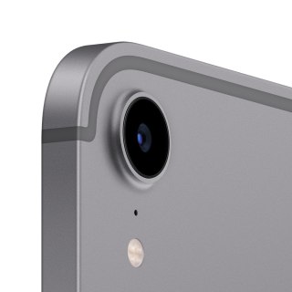 Apple iPad mini Wi-Fi + Cellular 256 GB gwiezdna szarość (2021)