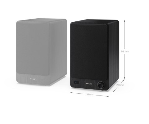 Sharp Bookshelf Speakers 2-drożny Czarny Przewodowy i Bezprzewodowy 60 W