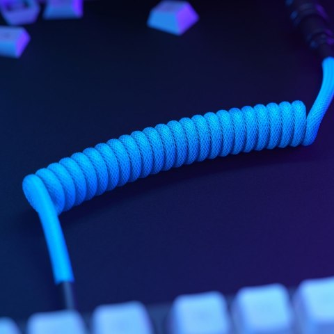 Glorious Gaming GLO-KB-ACC-CBL-COIL-EBLU kabel klawiatury/myszy Jasny Niebieski 1,4 m Glorious Gaming GLO-KB-ACC-CBL-COIL-EBLU kabel klawiatury/myszy Jasny Niebieski 1,4 m