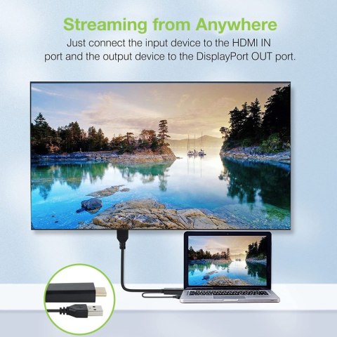 Techly ICOC HDMI-DP12A konwerter sygnału wideo 4096 x 2160 px