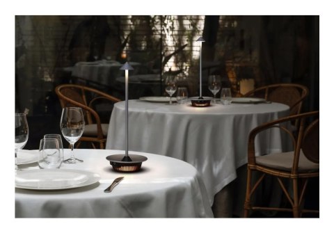 Techly I-LAMP-TABLE3 lampa stołowa Moduł LED SMD 1 W SMD LED D Czarny
