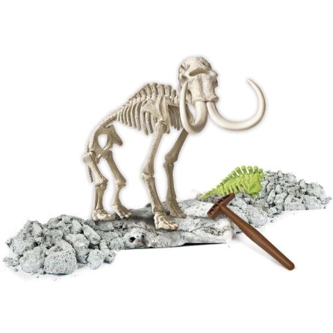 Zestaw naukowy Skamieniałości Mamut Zestaw naukowy Skamieniałości Mamut