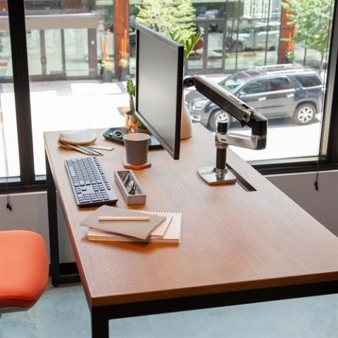 Ergotron LX DESK MOUNT LCD ARM POLISHED/32IN BLACK/WHITE VESA MIS-D