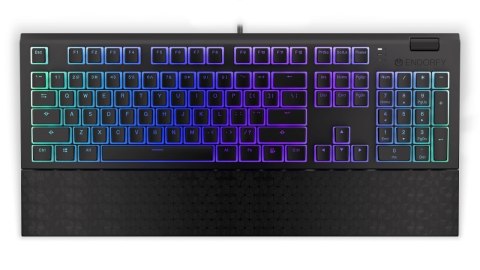 KLAWIATURA GAMINGOWA ENDORFY OMNIS PUD KAILH RD RGB