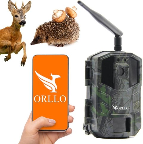 Fotopułapka GSM ORLLO Huntercam 3 Fotopułapka GSM ORLLO Huntercam 3