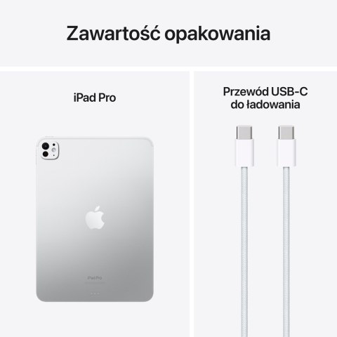 Apple iPad Pro Apple M 256 GB 27,9 cm (11") 8 GB Wi-Fi 6E (802.11ax) iPadOS 17 Srebrny