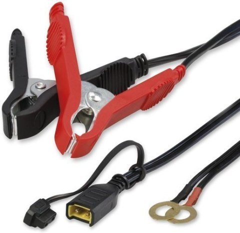 Prostownik Regenerujący z Mikroprocesorem AEG 1.0 12V, 1A Prostownik Regenerujący z Mikroprocesorem AEG 1.0 12V, 1A