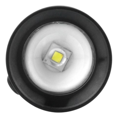 Ansmann M100F Czarny Latarka ręczna