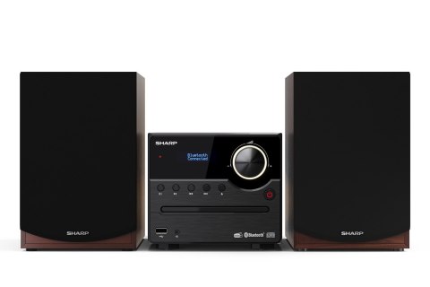Sharp XL-B517D System micro domowego audio 45 W Brązowy