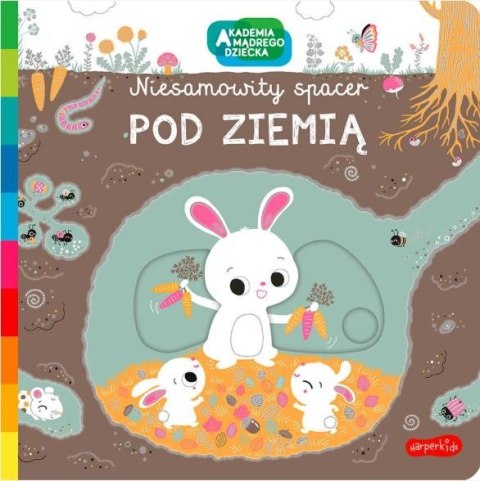 Książeczka Akademia mądrego dziecka Pod ziemią. Niesamowity spacer Książeczka Akademia mądrego dziecka Pod ziemią. Niesamowity spacer