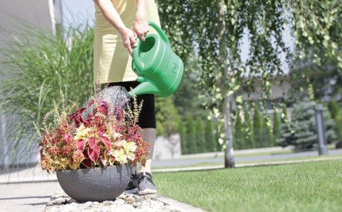 KONEWKA PLASTIKOWA 3L SPRING - ZIELONY KONEWKA PLASTIKOWA 3L SPRING - ZIELONY
